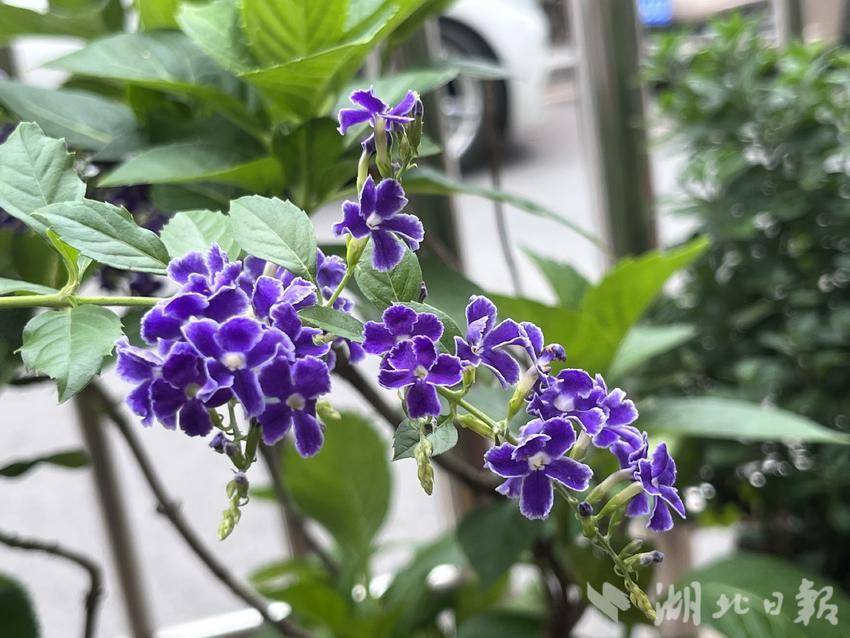 雅虎客户端